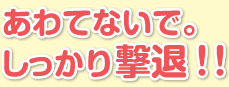 あわてないで。しっかり撃退！！