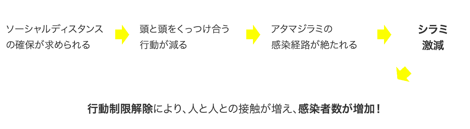 ソーシャルディスタンスの確保が求められる　→　頭と頭をくっつけ合う行動が減る　→　アタマジラミの感染経路が絶たれる　→　シラミ激減　→　行動制限解除により、人と人との接触が増え、感染者数が増加！